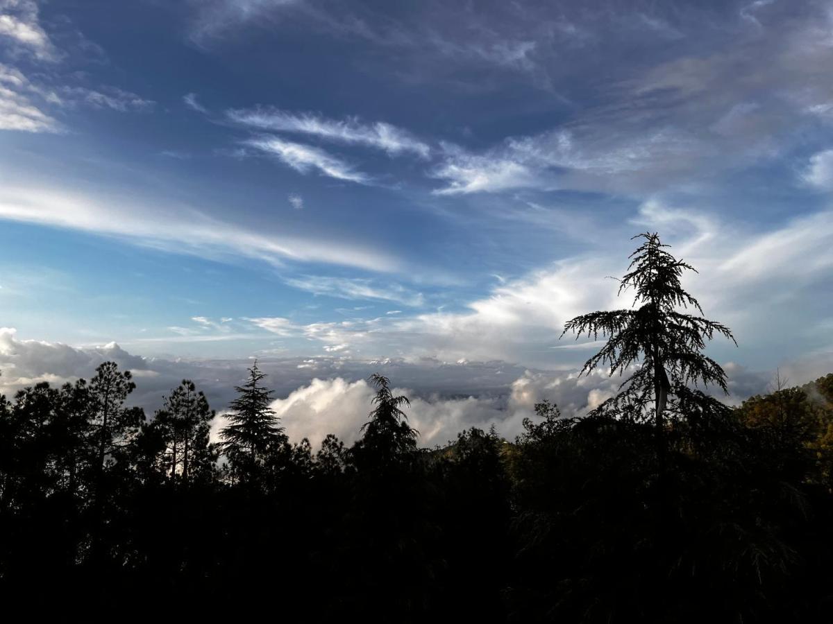 The Roots Homestay Almora Exterior foto