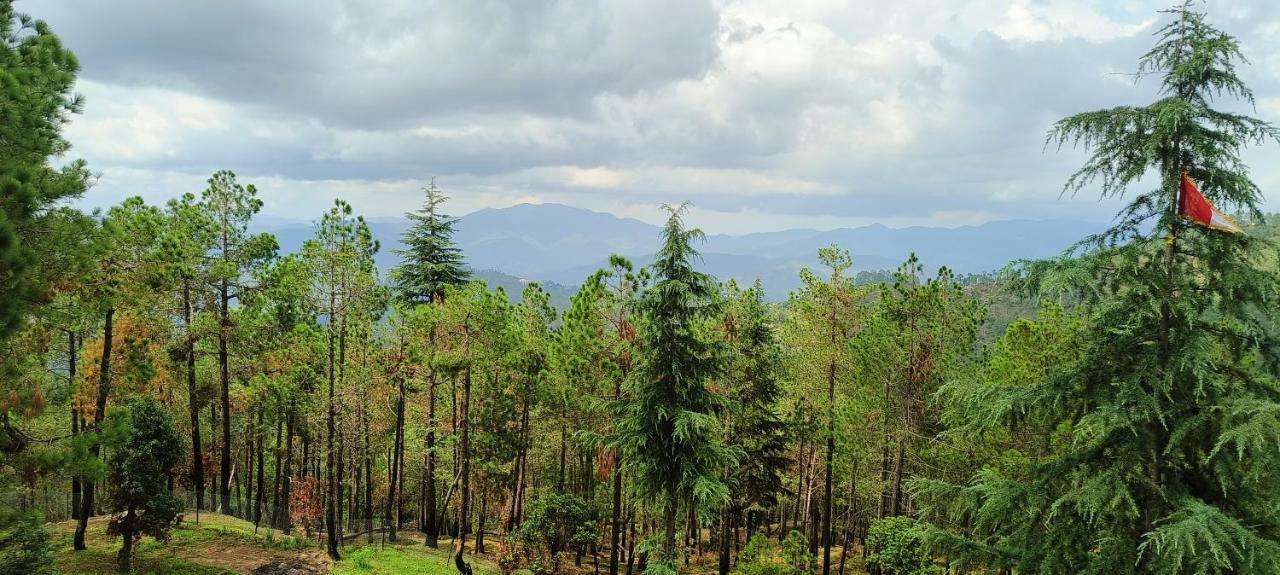 The Roots Homestay Almora Exterior foto