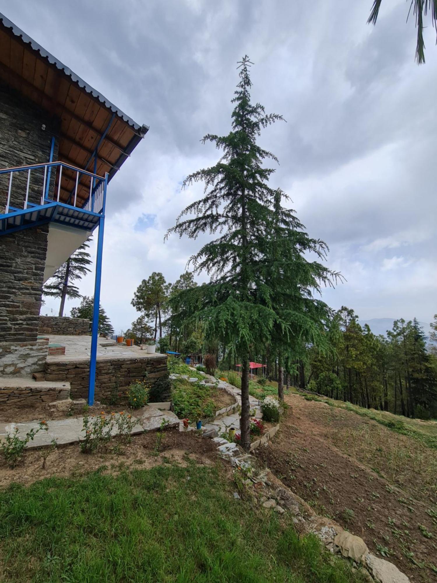 The Roots Homestay Almora Exterior foto